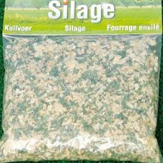 KID610760 - Sachet d'herbe ensilage 100grs - 1