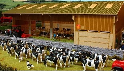 BBB120 - Stabulation, salle de traite, logettes - 1