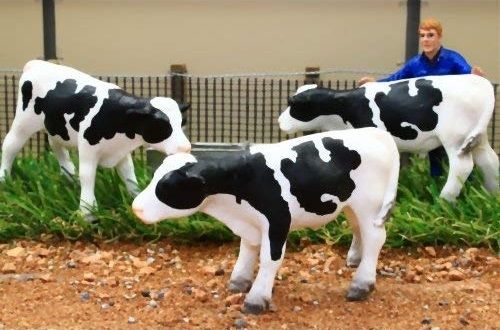 BT3068 - 3 vaches noire et blanche debout - 1