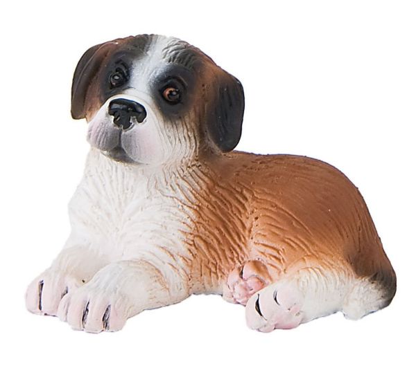 BUL65431 - Chiot St Bernard - Couché - 1