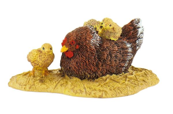 BUL62705 - Poule avec ses poussins - 1