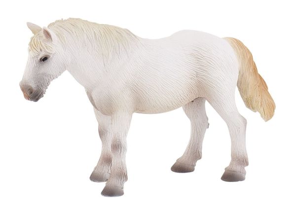 BUL62733 - Jument de Camargue - 1