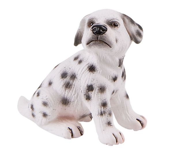 BUL65426 - Chiot Dalmatien - 1