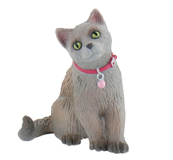 BUL66372 - Chat Russe - 1