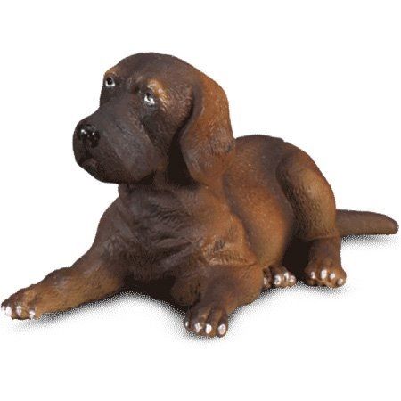 COLL88065 - Chiot Dogue allemand couché - 1