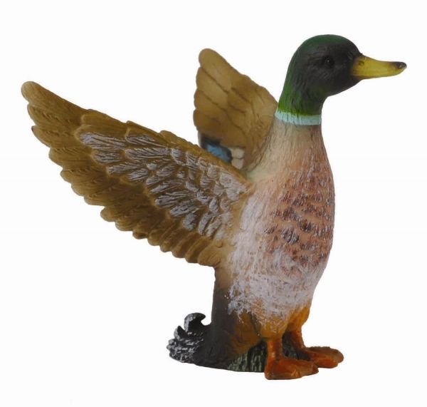 COLL88378 - Canard Colvert - 1