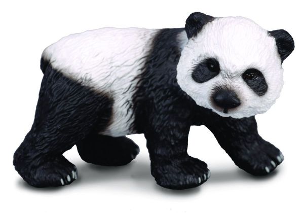 COLL88167 - Bébé panda géant debout - 1