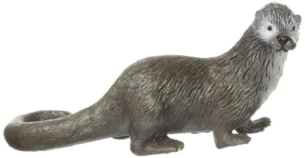 COLL88053 - Loutre D'europe - 1
