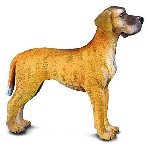 COLL88062 - Chien Dogue allemand - 1