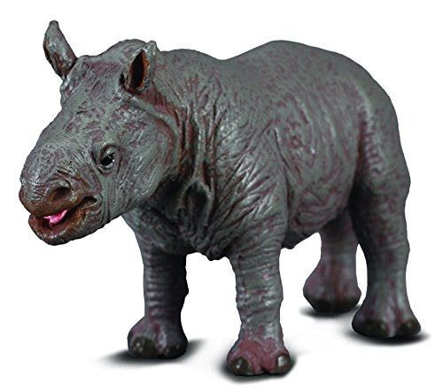 COLL88089 - Bébé Rhinocéros Blanc - 1