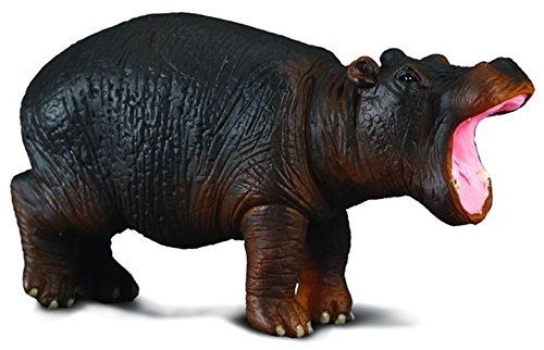 COLL88090 - Hippopotame nain - 1