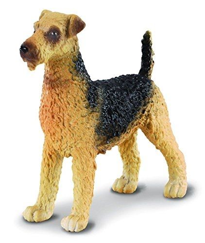 COLL88175 - Chien Airedale Terrier - 1