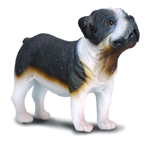 COLL88179 - Chien Bull Dog - 1