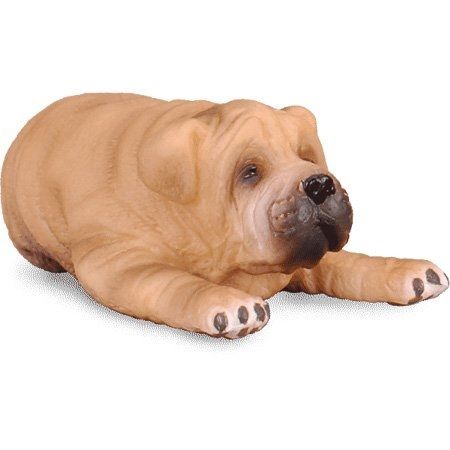 COLL88194 - Chiot Sharpei couché - 1