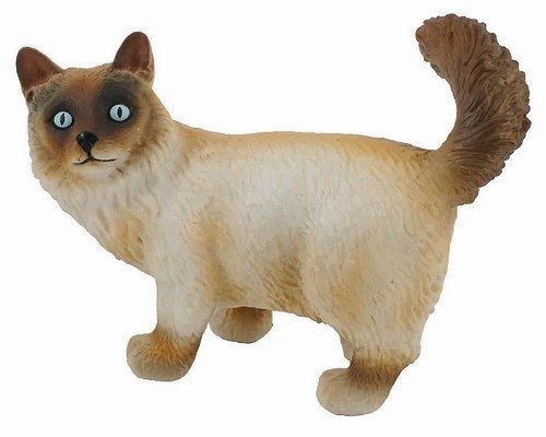 COLL88322 - Chat debout - 1