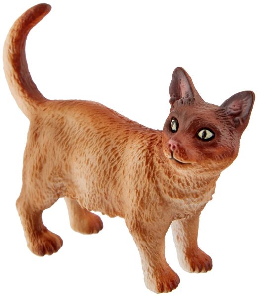 COLL88325 - Chat Burmese debout - 1