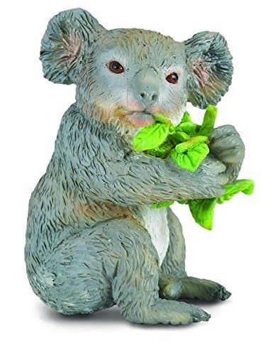 COLL88357 - Koala qui mange - 1