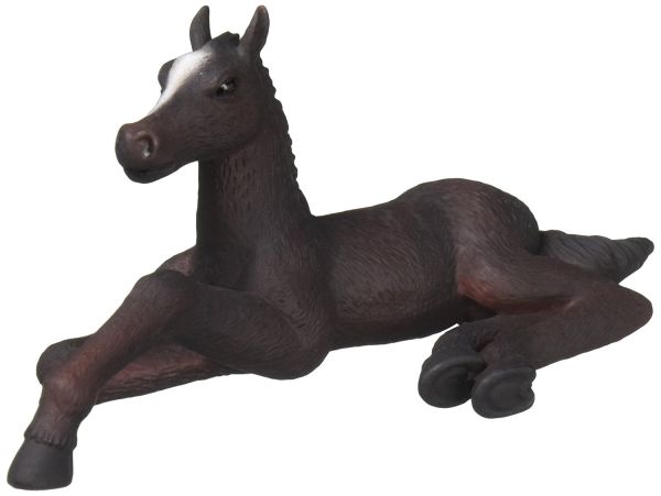 COLL88369 - Poulain couché - 1