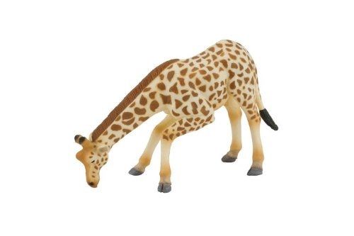 COLL88404 - Girafe Africaine qui mange - 1