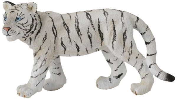 COLL88429 - Tigre Blanc qui marche - 1