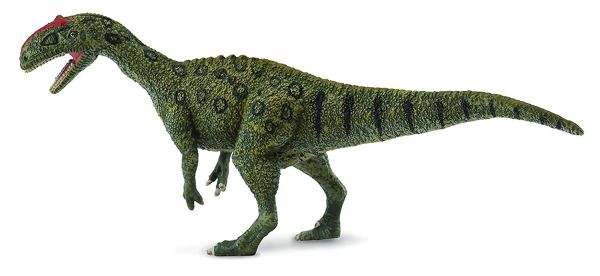 COLL88472 - Lourinhanosaurus - 1