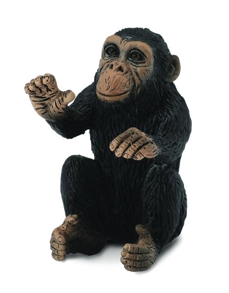 COLL88494 - Bébé Chimpanzée câlinant - 1