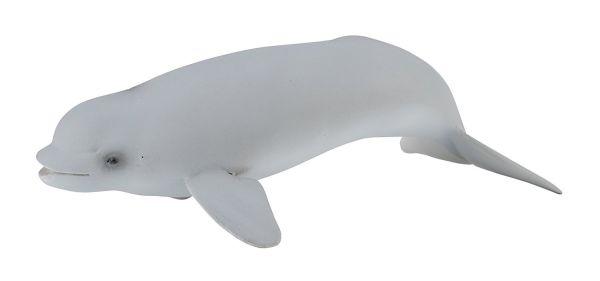 COLL88617 - Bébé Baleine - 1