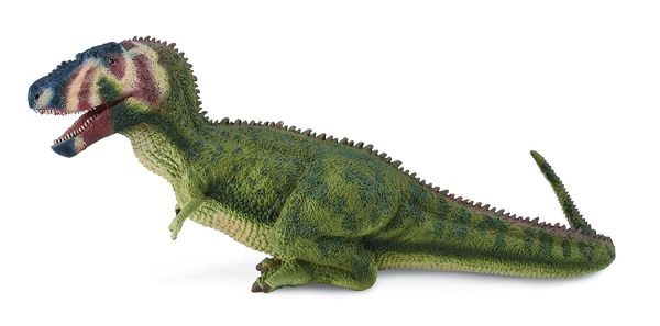 COLL88628 - Daspletosaurus - 1