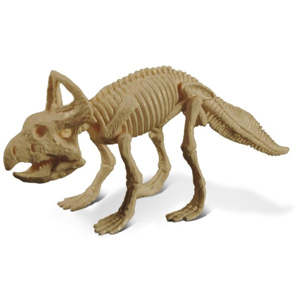 GEOCL3201C - Jurassix museum - Protoceratops - 1