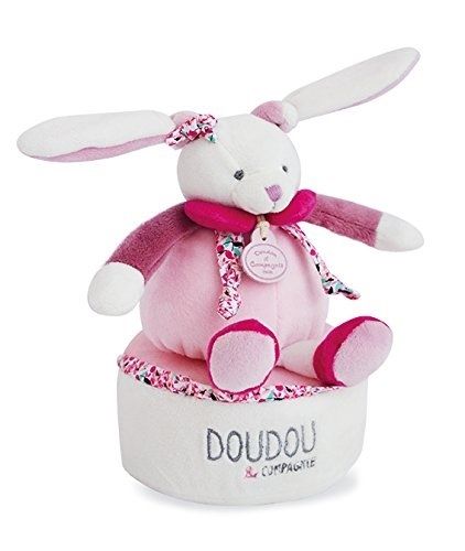 DC3360 - CERISE - Boîte à musique tournante - 1