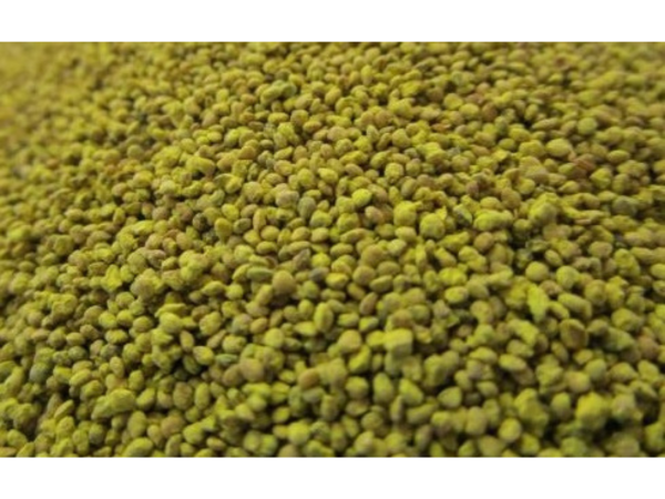 JUW23304 - Sac de 100g de Grains de MAîS - 1