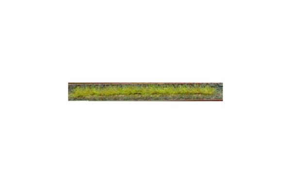 HEK1810 - Lot de 10 bandes d'herbes de printemps 10 cm - 1