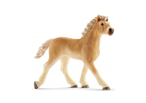 SHL13814 - Poulain Haflinger - 1