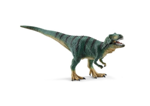 SHL15007 - Jeune tyrannosaure Rex - 1