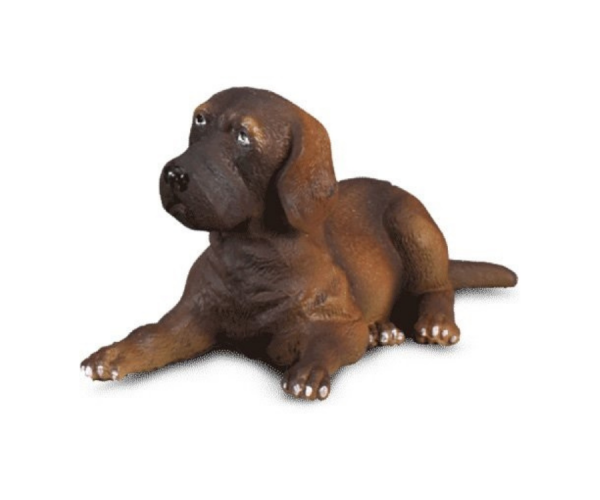 COLL88065 - Chiot Dogue allemand couché - 1
