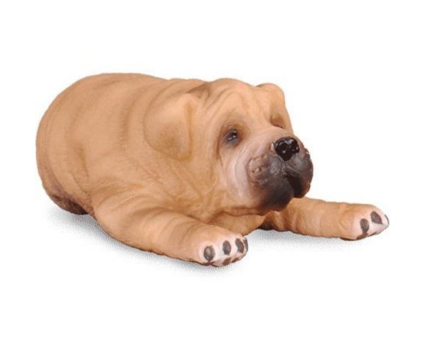 COLL88194 - Chiot Sharpei couché - 1