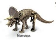 GEOCL3201D - Jurassix museum - Triceratops - 1