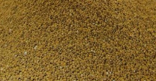 JUW23309 - Sachet de 200g de blé - 1