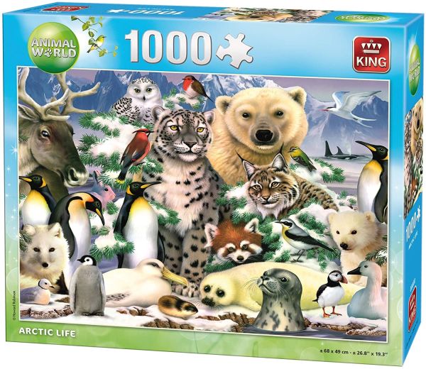 KING05485 - Puzzle 1000 Pièces La vie en Arctique - 1