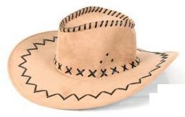 LP00008 - Chapeau de Cowboy Beige - 1