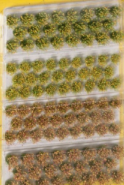 NOC07016 - Touffes d'herbes plantes des champs - 1