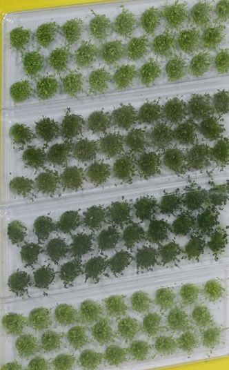 NOC07133 - Lot de 104 touffes d'herbes 6 mm - 1