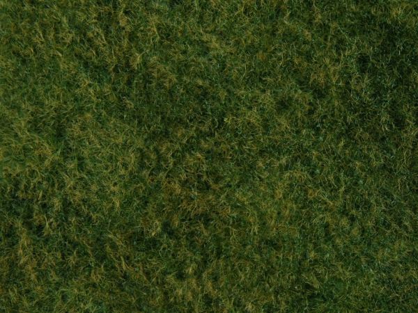 NOC07280 - Foliage d'herbes sauvage, vert clair 20 x 23 cm - 1