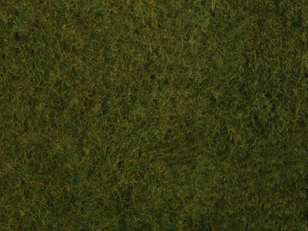 NOC07282 - Foliage d'herbes sauvages, vert foncé 20 x 23 cm - 1