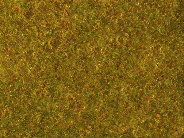 NOC07290 - Foliage de pré, jaune-vert 20 x 23 cm - 1