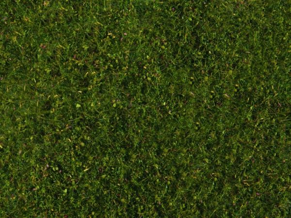 NOC07291 - Foliage de pré, vert moyen 20 x 23 cm - 1