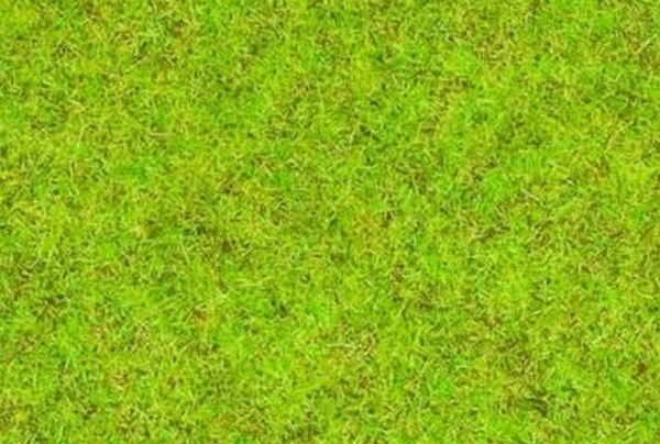 NOC08300 - Herbe vert moyen - 2.5 mm - 20 g - 1