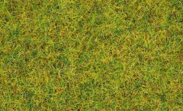 NOC08310 - Herbe de pré d'été - 20 g - 2.5 mm - 1