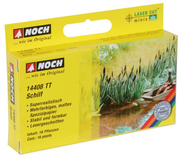 NOC14408 - Lot de 16 plants de roseaux de 1cm - 1