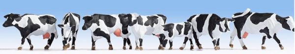 NOC15725 - Vaches Holstein - 1